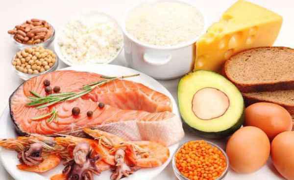 什么食物蛋白质含量低