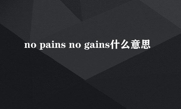 no pains no gains什么意思
