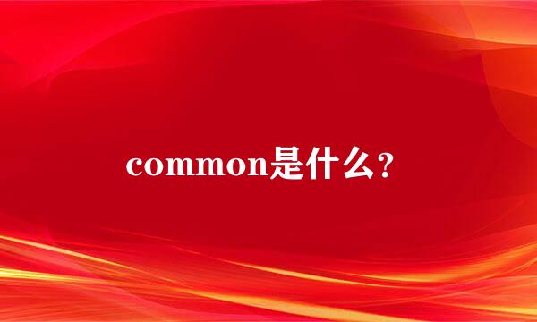 common是什么？